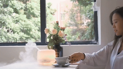 DIFUSOR HOLDMAY KP 500ML