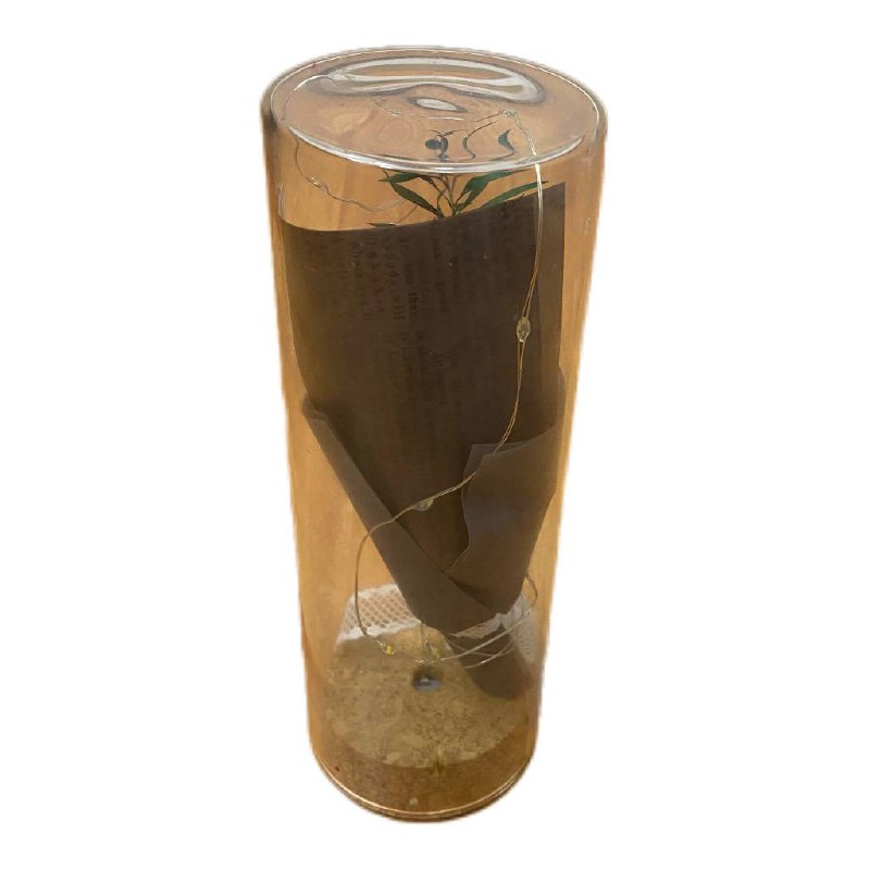 Rosa Eterna Cilindro