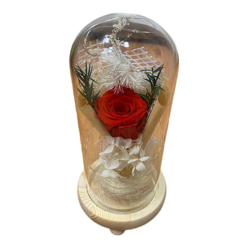 Rosa Eterna LED en Cúpula de Cristal