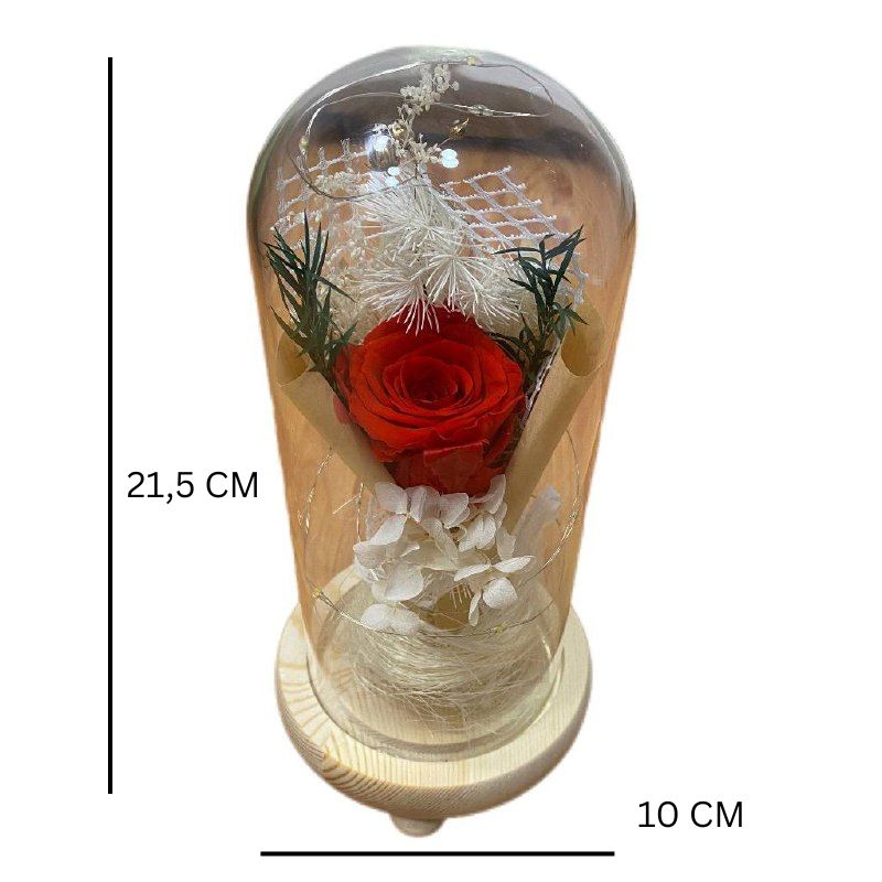 Rosa Eterna LED en Cúpula de Cristal
