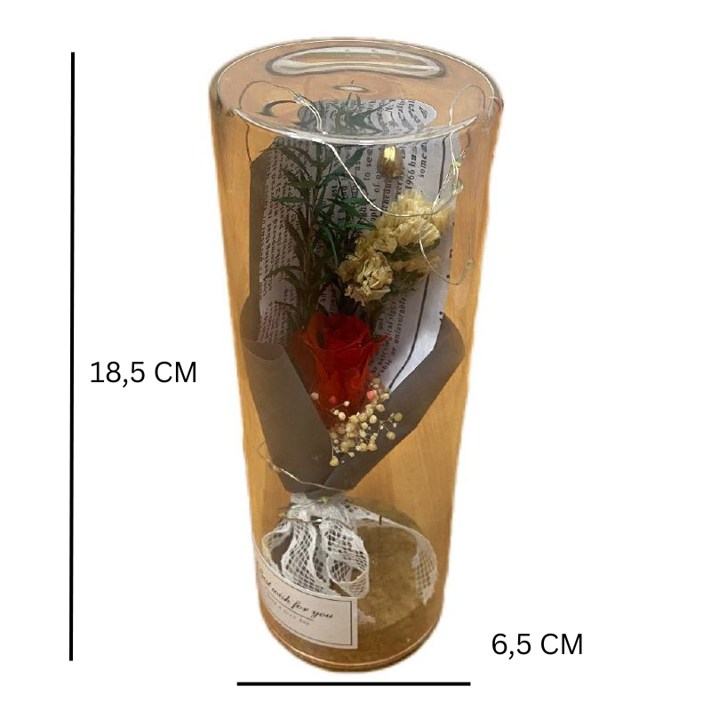 Rosa Eterna Cilindro